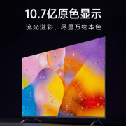 我们就是你最好的导